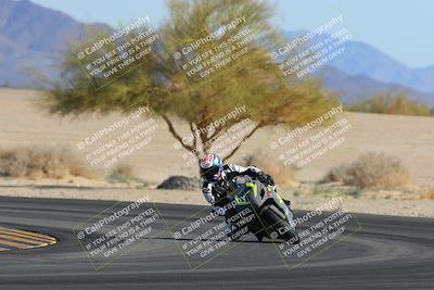 media/Feb-04-2023-SoCal Trackdays (Sat) [[8a776bf2c3]]/Turn 4 (Tree of Life 2pm)/